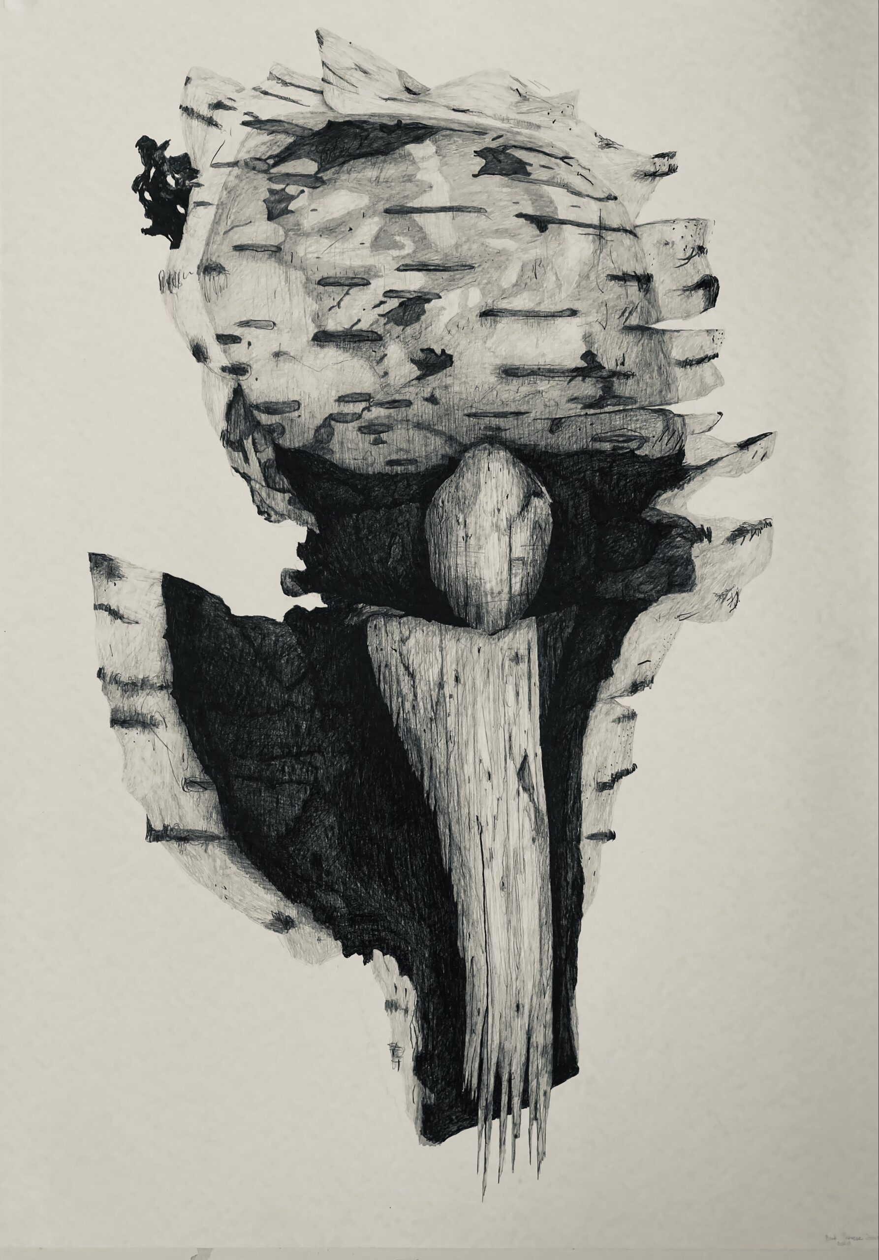 Unknown Unknown